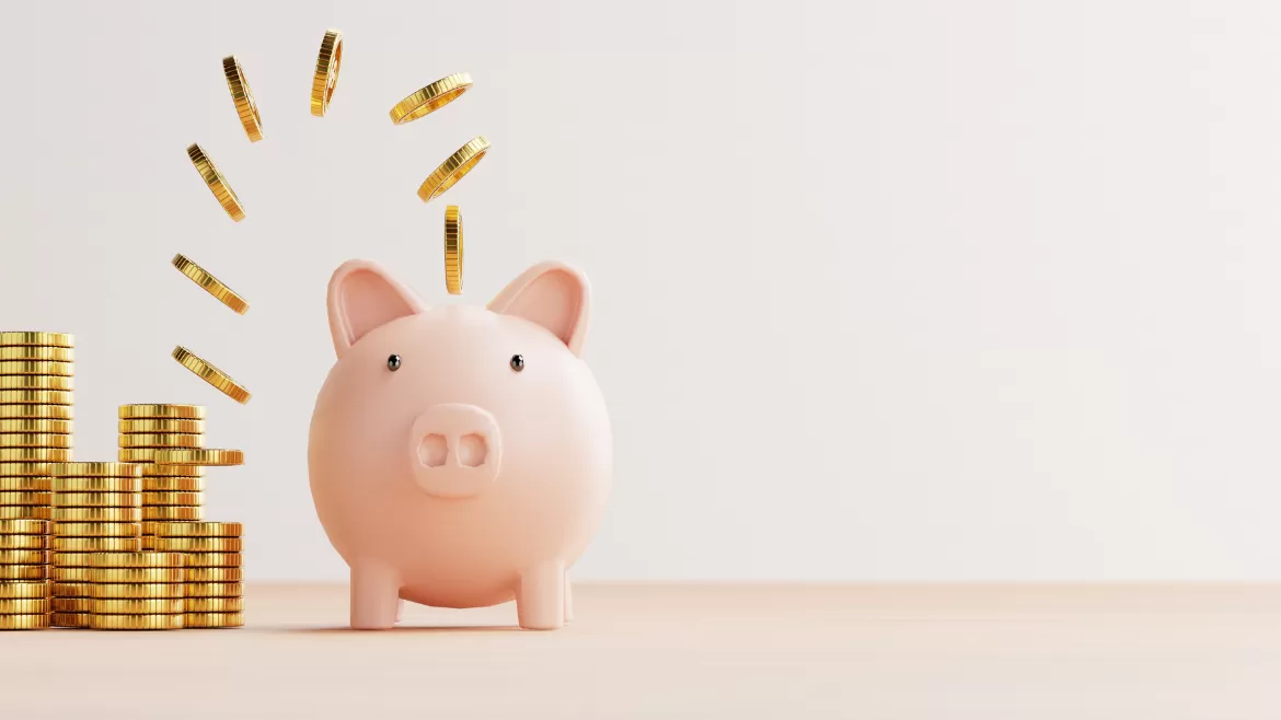 Successful Savings Webinar